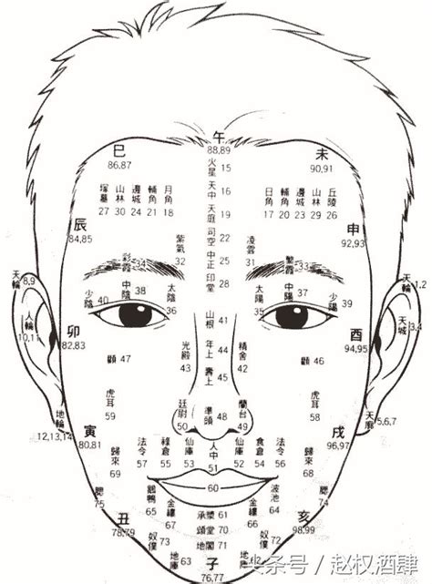 流年面相年齡|1到100歲，面相流年氣運圖教你如何看自己的面相